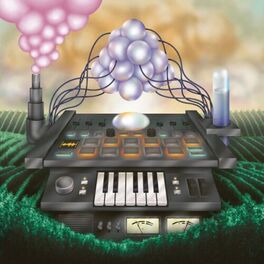 Album cover of Orange