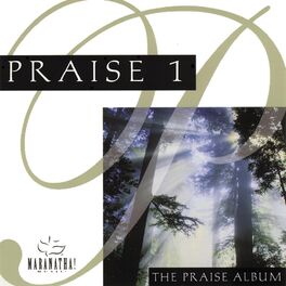 Album cover of Praise 1 - The Praise Album