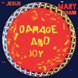 Album cover of Damage and Joy (Deluxe)