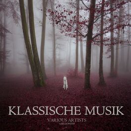 Album cover of Klassische Musik
