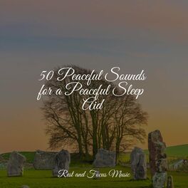 Album cover of 50 Peaceful Sounds for a Peaceful Sleep Aid