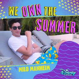 Album cover of We Own the Summer