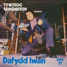 Album cover of Tywysog Tangnefedd