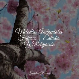 Album cover of Melodías Ambientales Futuras | Estudio Y Relajación