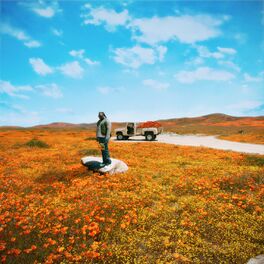 Album cover of California Poppy 3