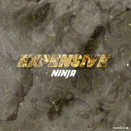 Album cover of Expensive