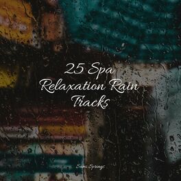 Album cover of 25 Spa Relaxation Rain Tracks