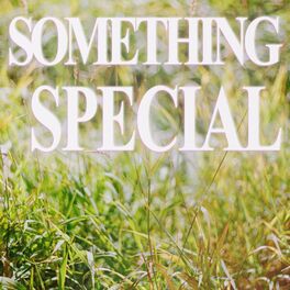 Album cover of something special