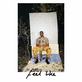 Album cover of Feel Like
