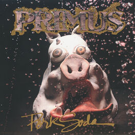 Album cover of Pork Soda