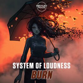 Album cover of Burn