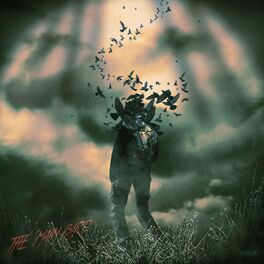 Album cover of The Main Bird