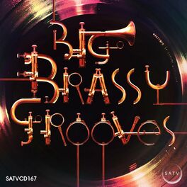 Album cover of Big Brassy Grooves