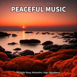 Album cover of #01 Peaceful Music for Night Sleep, Relaxation, Yoga, Disturbance
