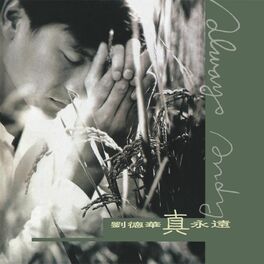 Album cover of Zhen Yong Yuan