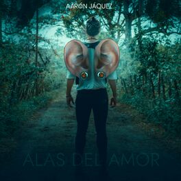 Album cover of Alas del Amor