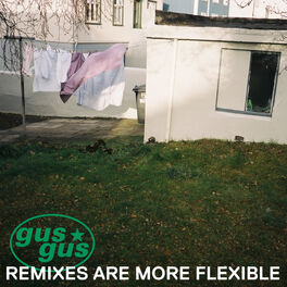 Album picture of Remixes Are More Flexible, Pt. 2