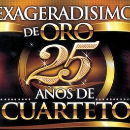 Album picture of Exageradisimo de Oro: 25 Años de Cuarteto