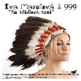 Album cover of Na křídlech koní