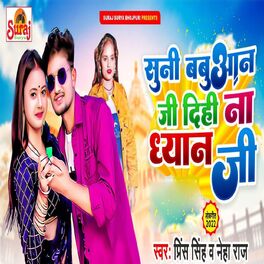 Album cover of Suni Babuwan Jee Dihi Na Dhyan Ji