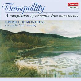 Album cover of Tranquillity