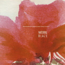 Album cover of Natural Blaze