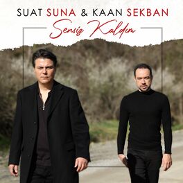 Album cover of Sensiz Kaldım