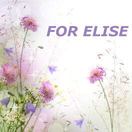 Album cover of For Elise