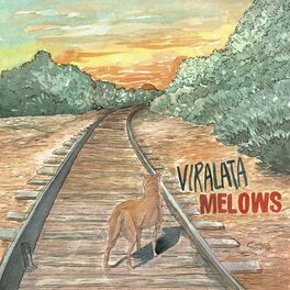 Album cover of Viralata