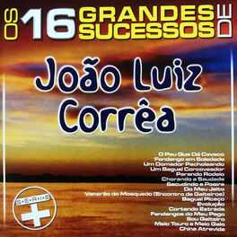 Album cover of Os 16 Grandes Sucessos de João Luiz Corrêa - Série +