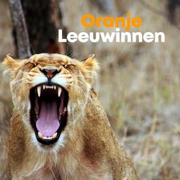 Album cover of Oranje Leeuwinnen | EK Voetbal Vrouwen 2022