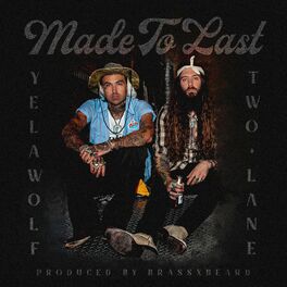 Album cover of Made to Last (feat. Yelawolf)