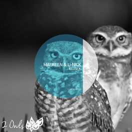 Album cover of Illusion