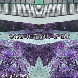 Album cover of Slow It Down a Bit