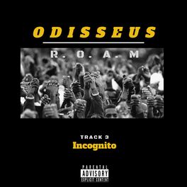 Album cover of Incognito