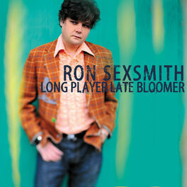 Album cover of Long Player Late Bloomer