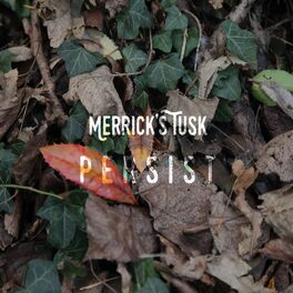 Album cover of Persist