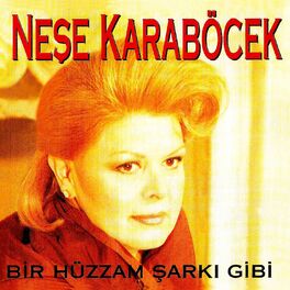 Album cover of Bir Hüzzam Şarkı Gibi