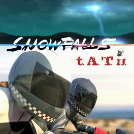 Album cover of Snowfalls