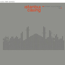 Album cover of Istanbul Calling, Vol.2