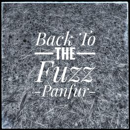 Album cover of Back to the Fuzz