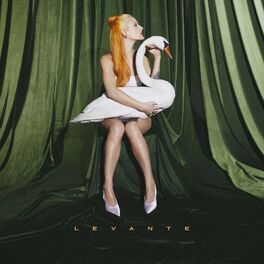 Album cover of Vivo