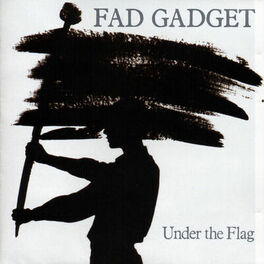 Album cover of Under the Flag