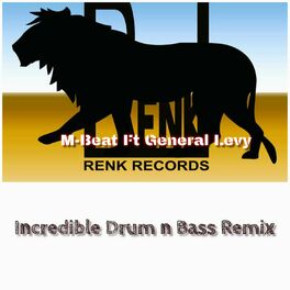 Album cover of Incredible Drum n Bass Remix