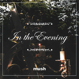 Album cover of In the evening