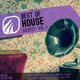 Album cover of Best of House Booost Vol.4