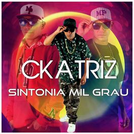 Album cover of Sintonia Mil Grau
