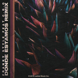 Album cover of Donde Estamos (Remix)