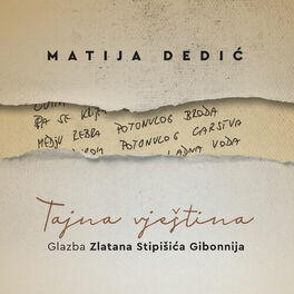 Album cover of TAJNA VJEŠTINA - GLAZBA ZLATANA STIPIŠIĆA GIBONNIJA