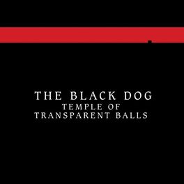 Album cover of Temple of Transparent Balls